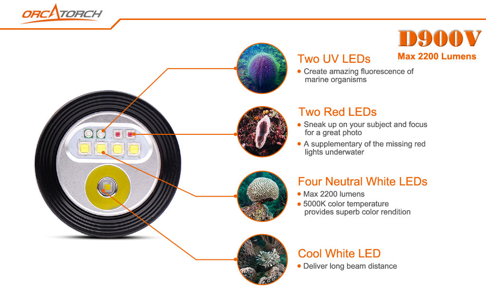 ORCATORCH D900V Diving Video Light with Red UV Neutral White Cool White Light, with Both Flood and Spot Beam, Magnetic Fast Charging, for Fluorescence Diving, Underwater Photography