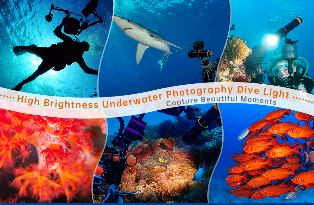 OrcaTorch D950V 10500 Lumens Best LED Video Light for Underwater Photography