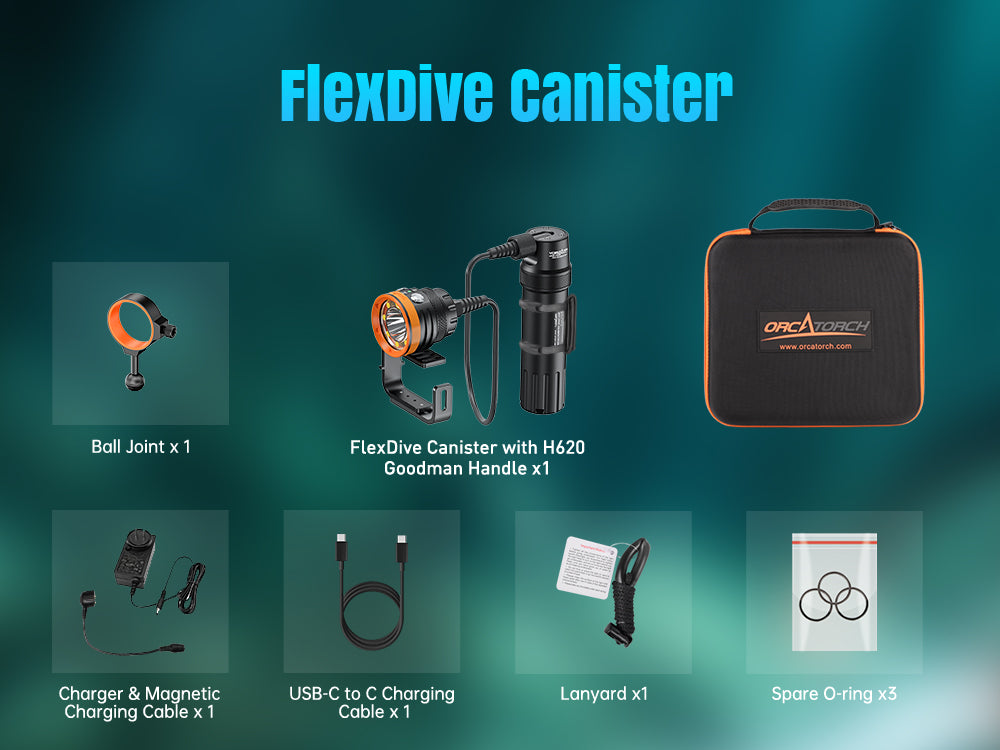 FlexDive