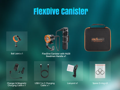 FlexDive