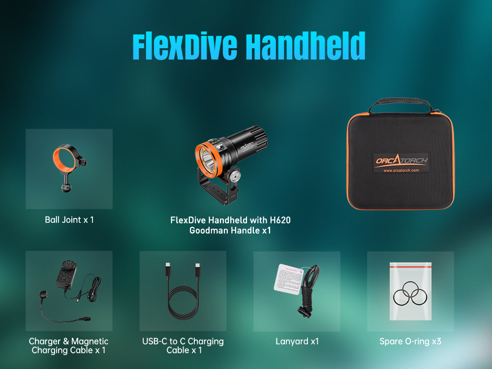 FlexDive