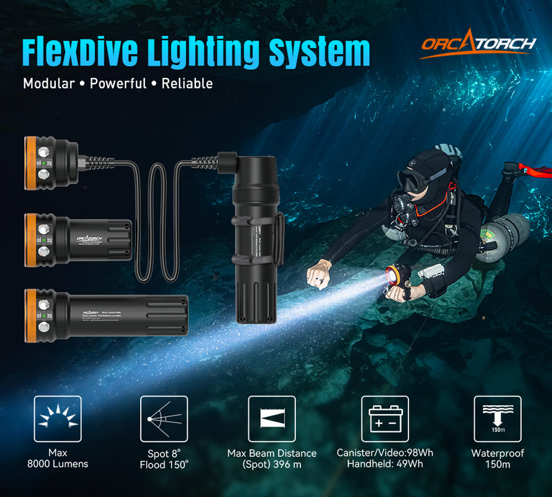 FlexDive