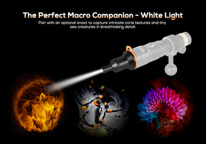 OrcaTorch NEW D710V MK2 Max 2300 Lumens Three-Color Light Source Underwater Video Light and fluorescent diving flashlight